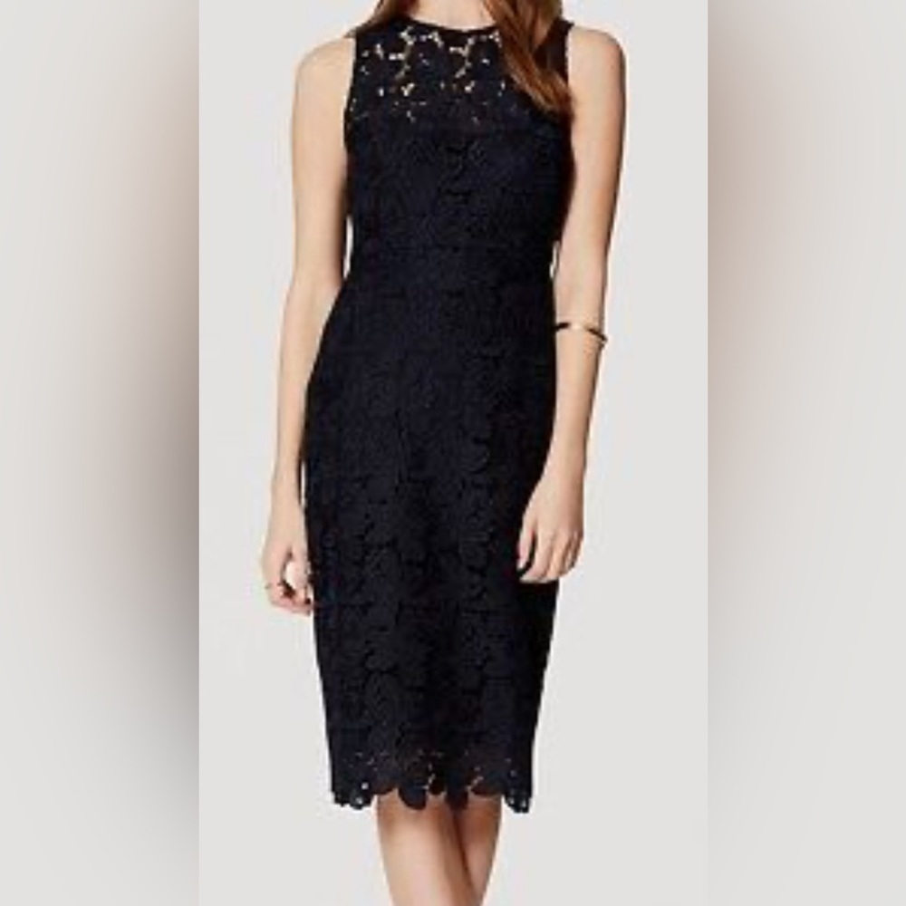 Ann Taylor navy and black lace dress